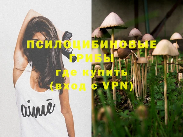 гашиш Дмитриев