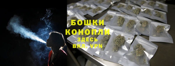 мет Дмитров
