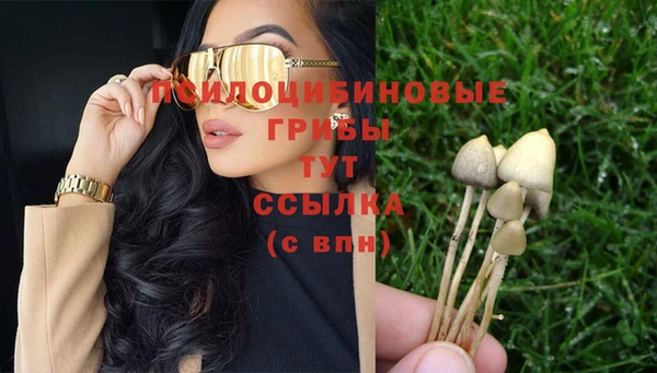 мескалин Тихвин