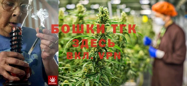 мет Дмитров